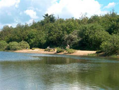 Blokhus Fiskepark
