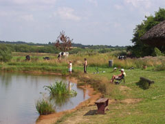 Bækhuse Fiskesø