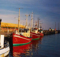 Skrubber i Øresund