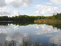 Nivå Fiskepark
