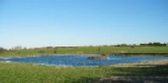 Nyborre Fiskesø