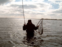 Endnu en waders ulykke