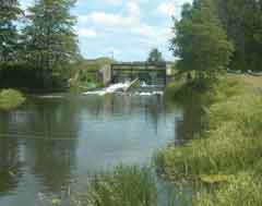 Rens Fiskesø