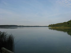 Sjælsø