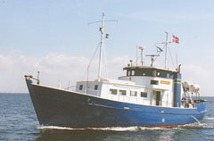 Skipper