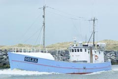 Solea