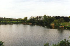 Teglværkssøen Fiskepark
