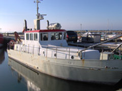 Ternen