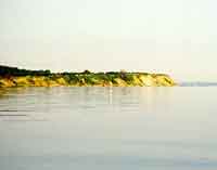 Trelde Klint