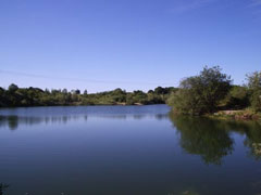 Vanløse Fiskesø