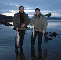 Fine fisk i Vejle Fjord